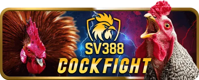 Chương trình VIP Nbet88
